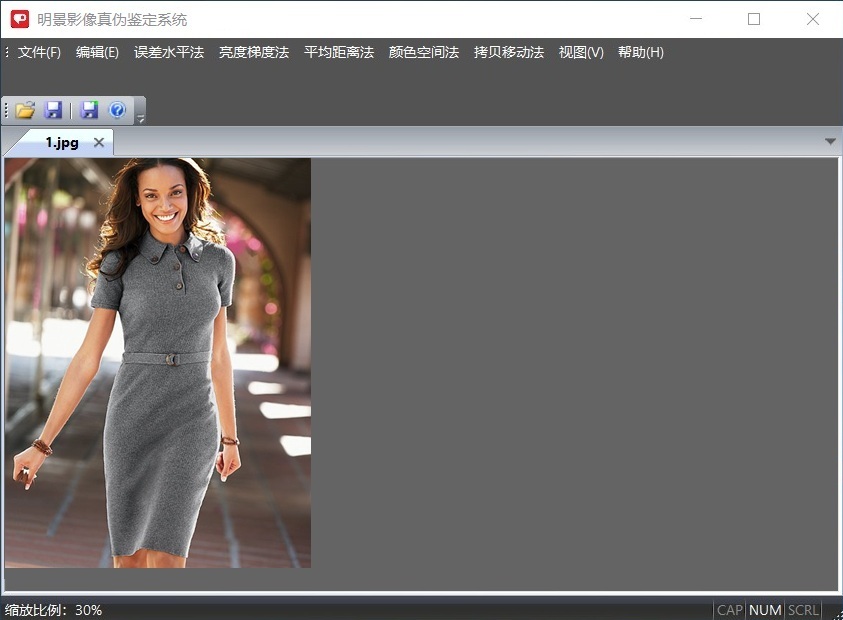 J9集团影像真伪鉴定系统
