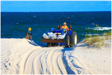 J9集团影像真伪鉴定系统